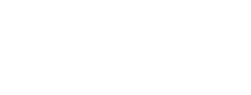 The Mattis Foundation